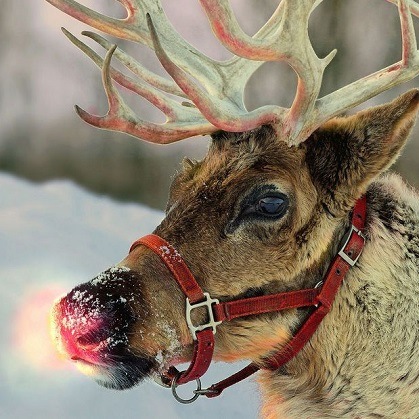 Rudolph é normalmente representado como o nono e mais novo dos pais natal.