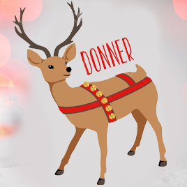 Renas - Saiba mais sobre as renas do Pai Natal- FAQ'S sobre renas.